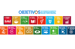 Sustainable Development Goals (SDG) indicators for Portugal - 2023